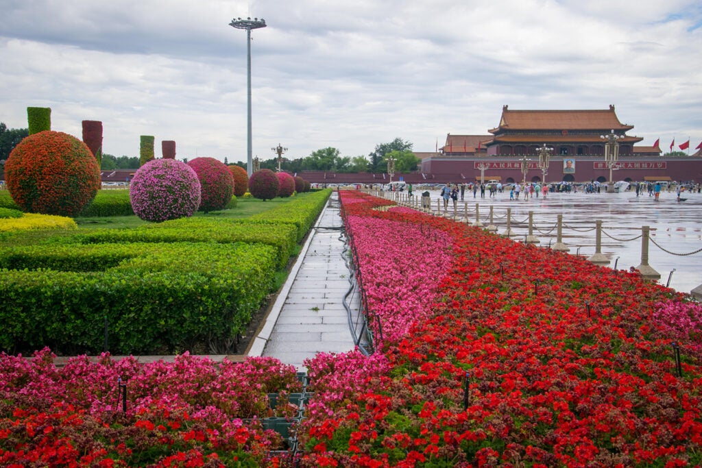 walkway lined by beautiful flowers and gardens