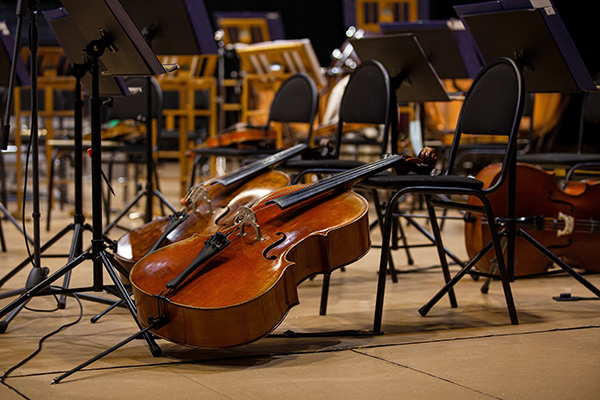 Cellos in a symphony orchestra
